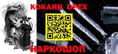 крисы Будённовск