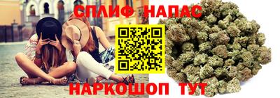 крисы Будённовск