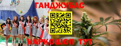 крисы Будённовск