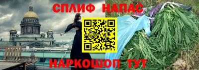 крисы Будённовск