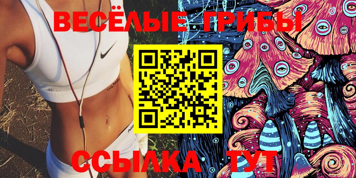 Псилоцибиновые грибы GOLDEN TEACHER Новоалтайск