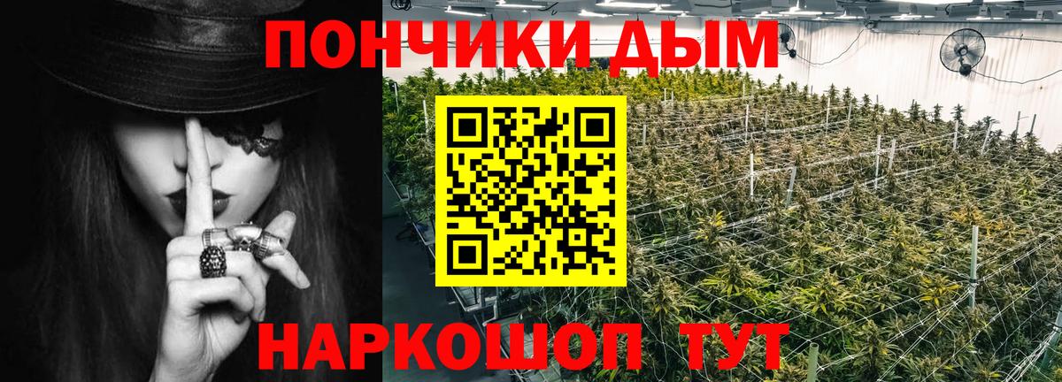 Бошки марихуана MAZAR Новоалтайск